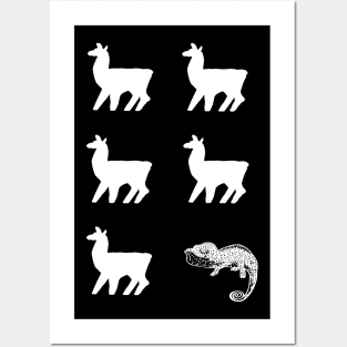 Llama llama llama chameleon Posters and Art